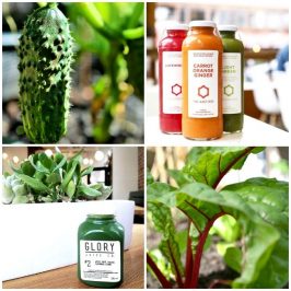 #BecauseYouAsked: To Juice or Not To Juice...That is the Question. Article by Dr. Theresa Nicassio | BLUSH Vancouver Columnist | January 17, 2017 | UL & LR: Veg by Theresa Nicassio | UR: IG @thejuicebox_van | LL: IG @gloryjuice