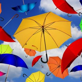 BIO-INDIVIDUALITY: Transcending Incorrect Assumptions About Health