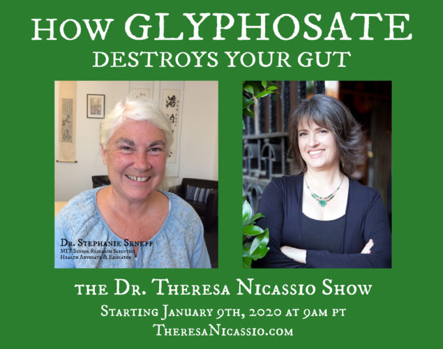 Hear leading MIT Senior Research Scientist & Health Advocate Dr. Stephanie Seneff talk about HOW GLYPHOSATE IS DESTROYING YOUR GUT on The Dr. Theresa Nicassio Show