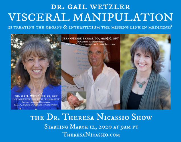 スポーツ・フィットネス Visceral Manipulation Jean-PierreBarral Amazon | Visceral Manipulation | Barrl, Jean-Pierre | Medicine